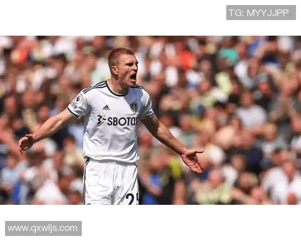 普雷斯顿与斯旺西的激烈对决揭示英冠赛季的精彩与悬念